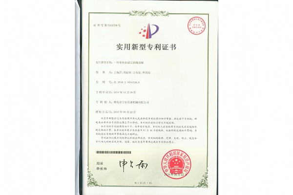 實(shí)用新型 (2)